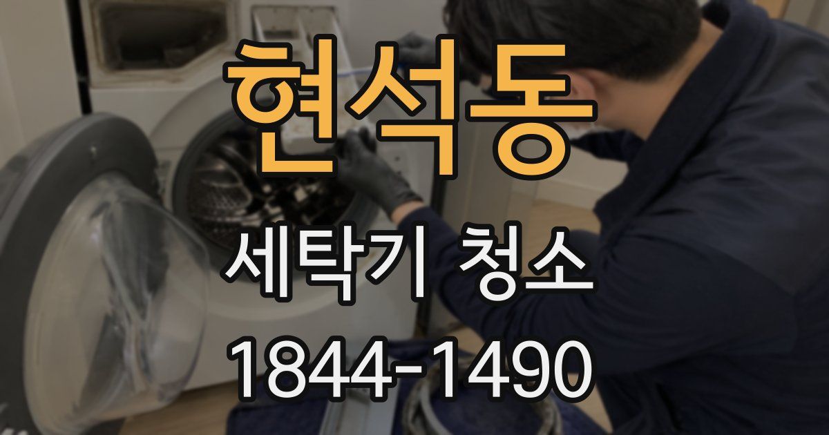 현석동 세탁기 청소