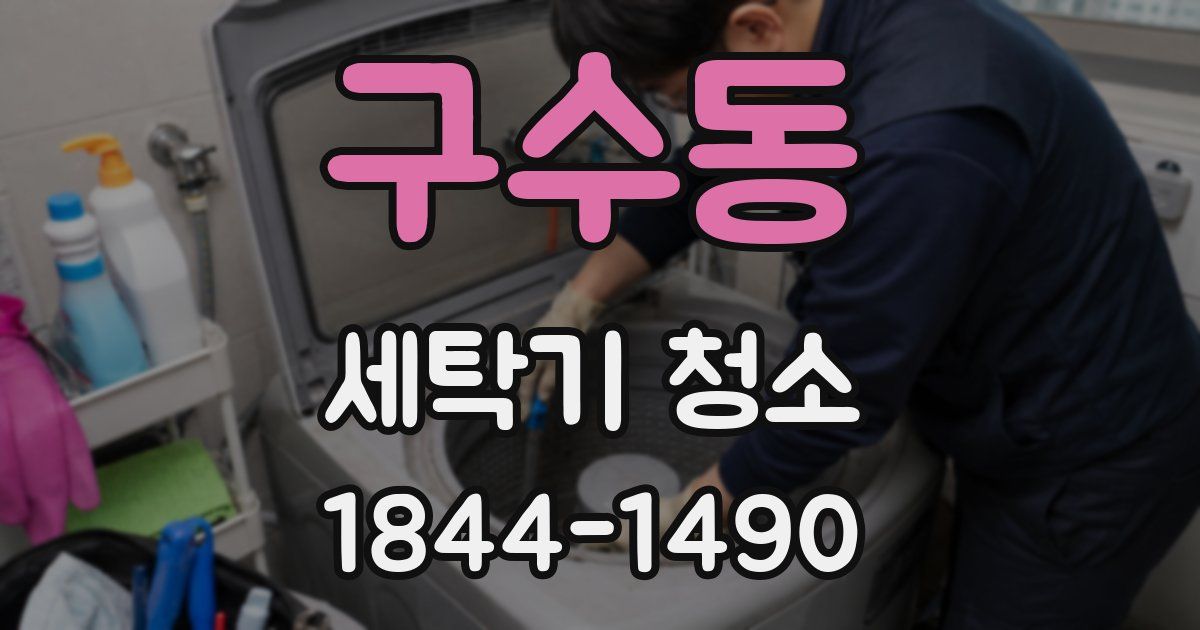 구수동 세탁기 청소