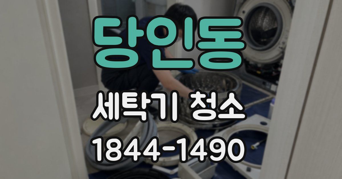 당인동 세탁기 청소