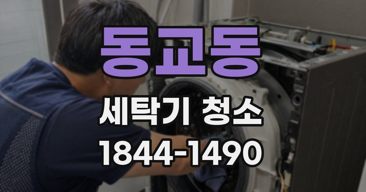 동교동 세탁기 청소