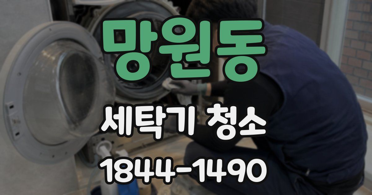 망원동 세탁기 청소
