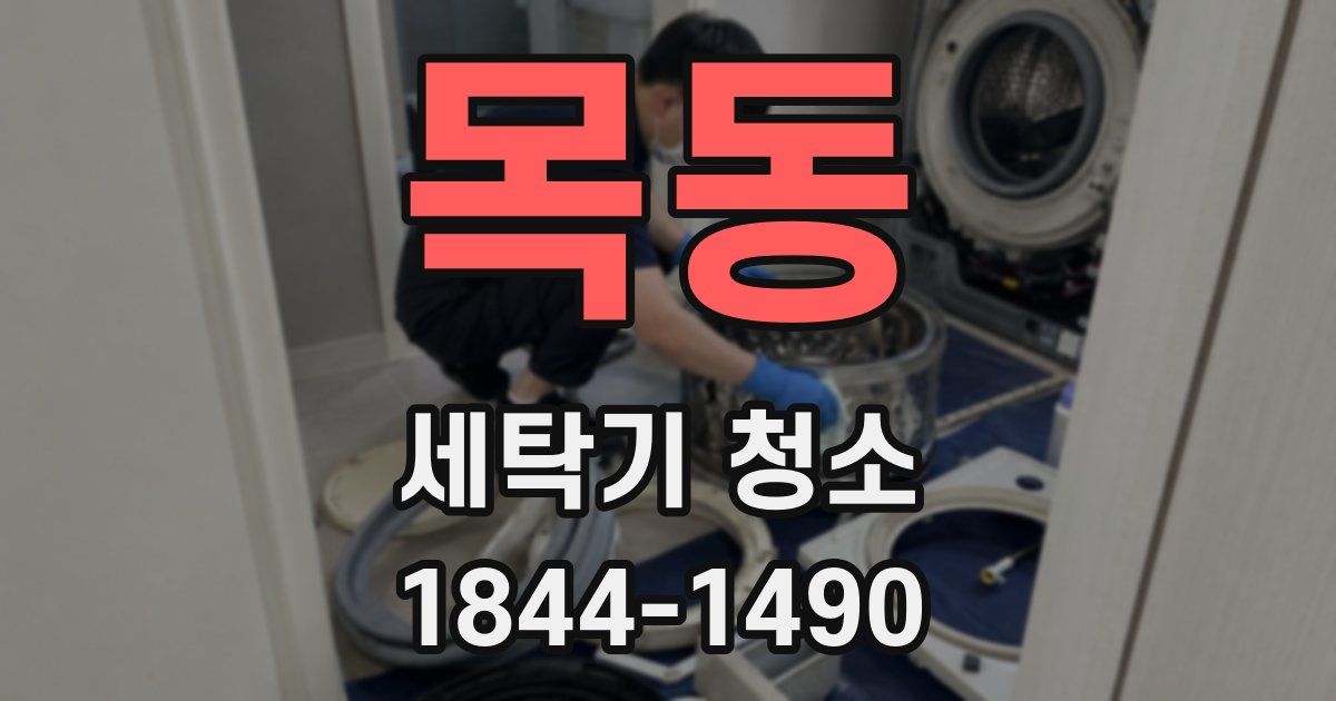 목동 세탁기 청소