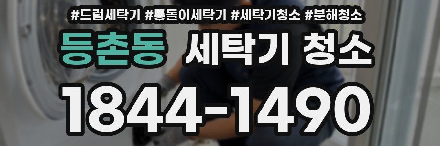 등촌동 세탁기 청소