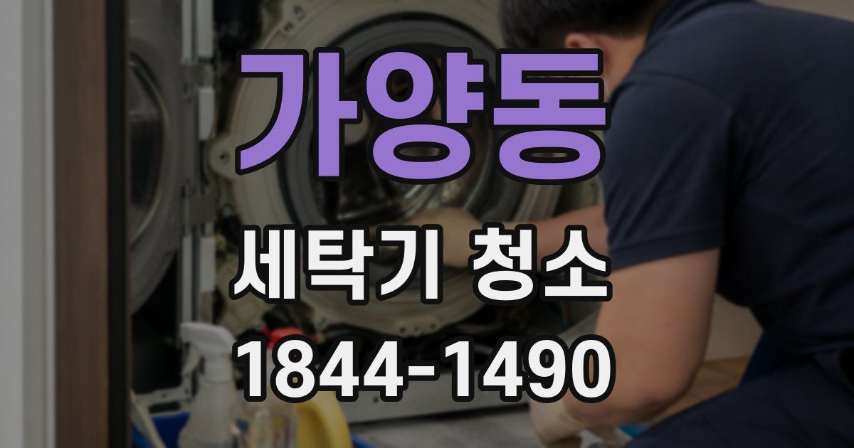 가양동 세탁기 청소