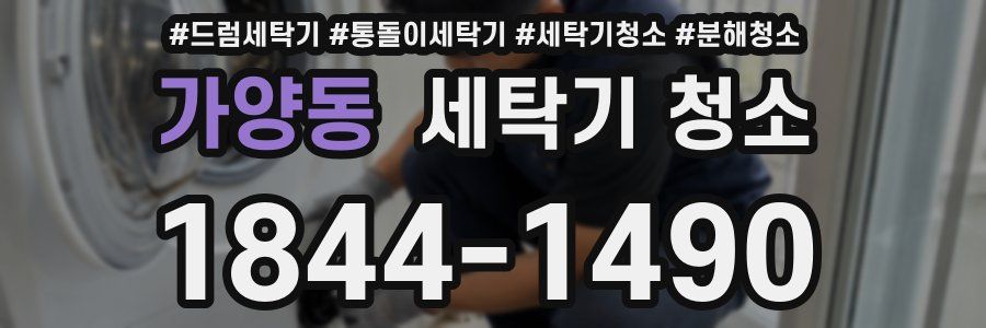 가양동 세탁기 청소