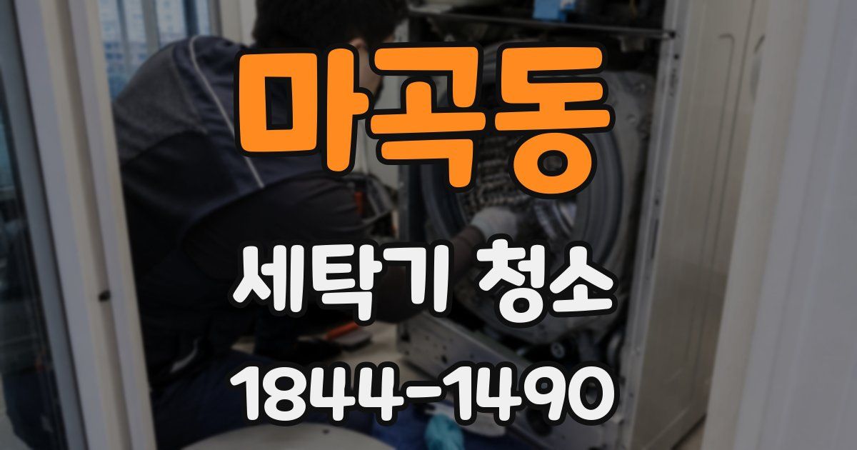 마곡동 세탁기 청소