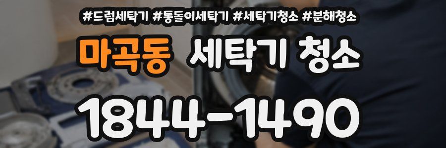 마곡동 세탁기 청소
