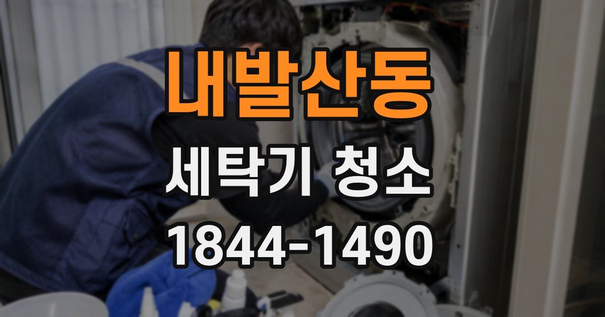 내발산동 세탁기 청소