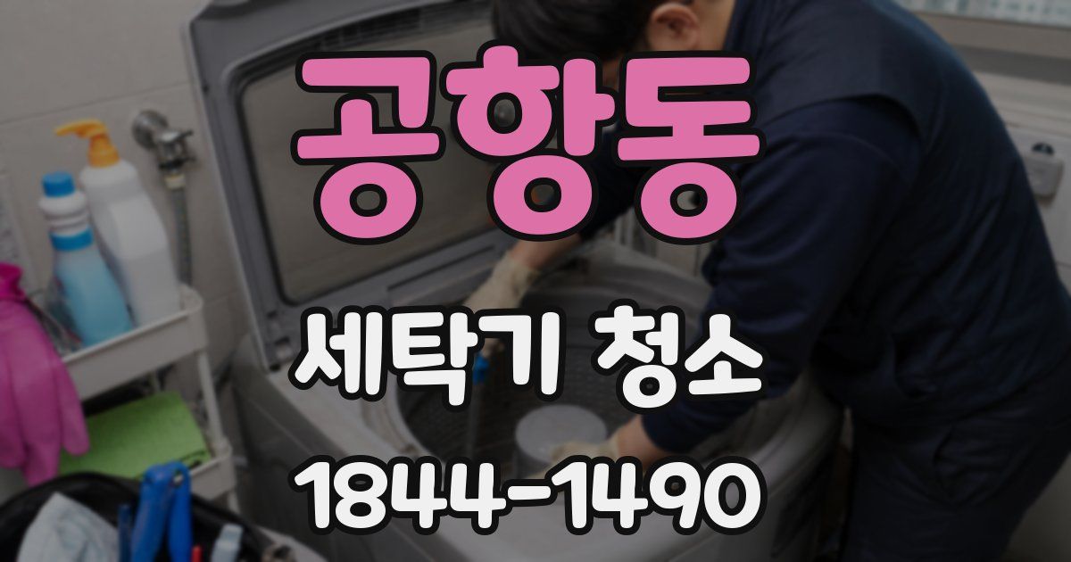 공항동 세탁기 청소