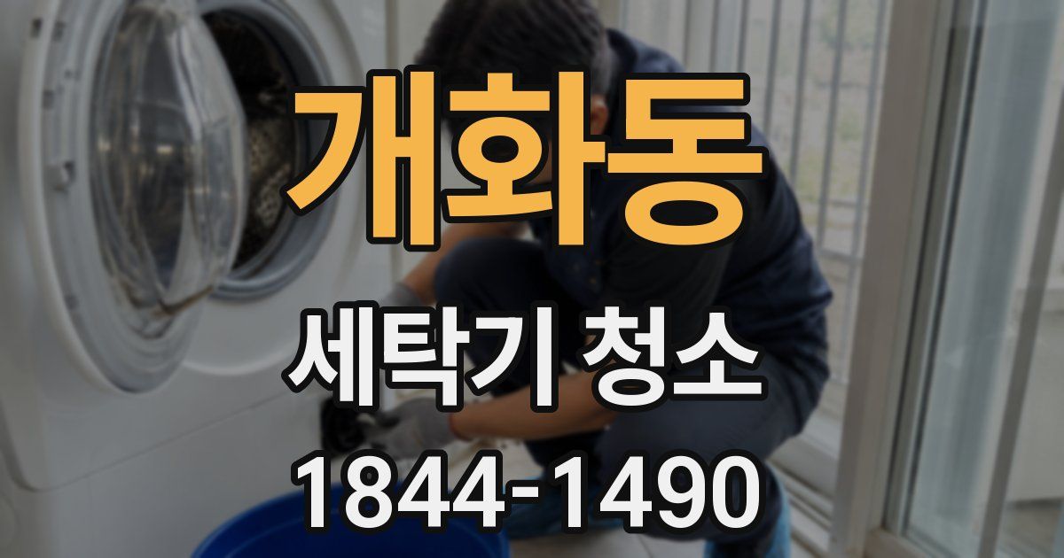 개화동 세탁기 청소
