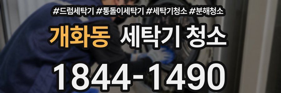 개화동 세탁기 청소