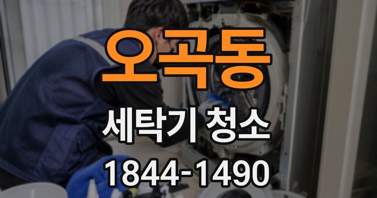 오곡동 세탁기 청소