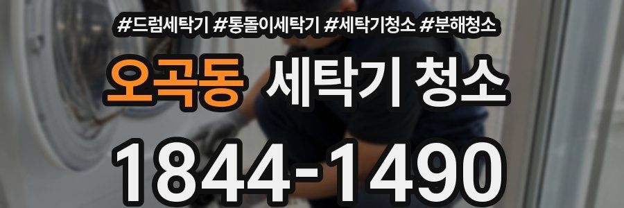 오곡동 세탁기 청소