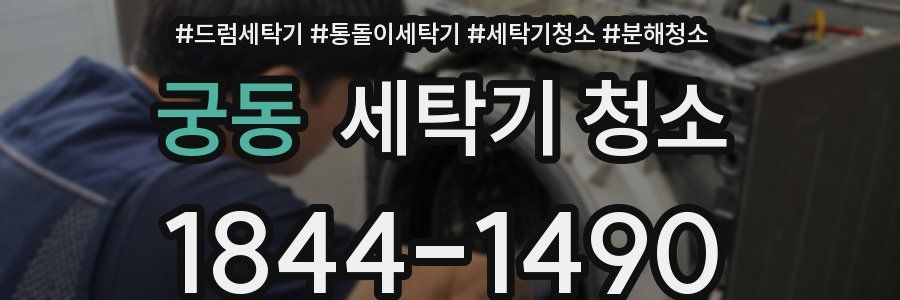 궁동 세탁기 청소