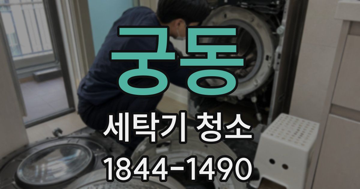 궁동 세탁기 청소