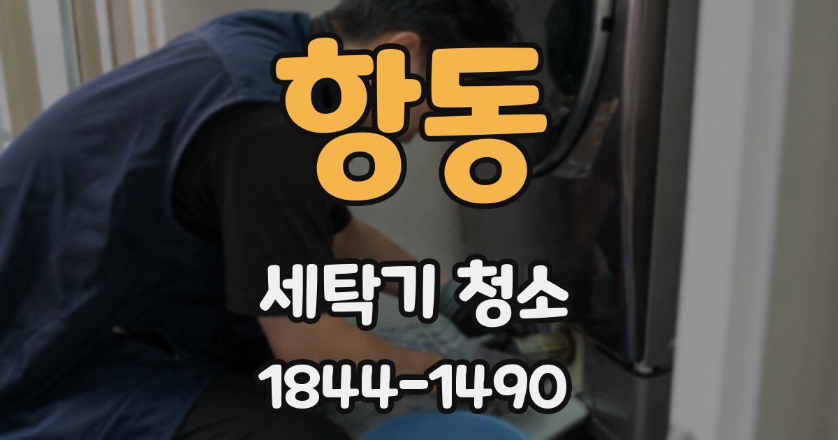 항동 세탁기 청소