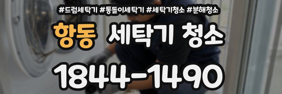 항동 세탁기 청소