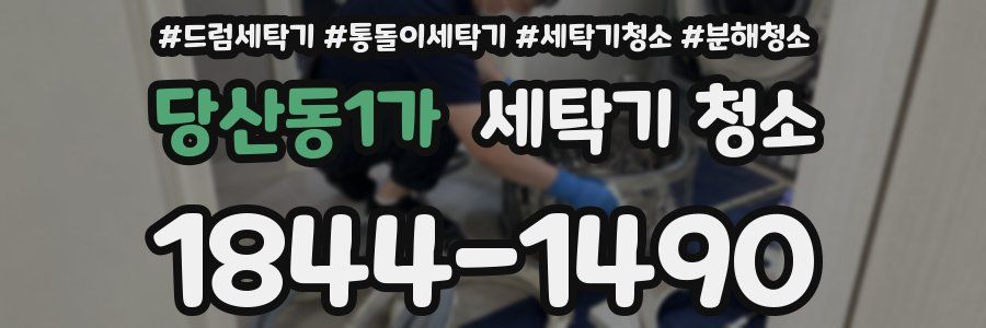 당산동1가 세탁기 청소