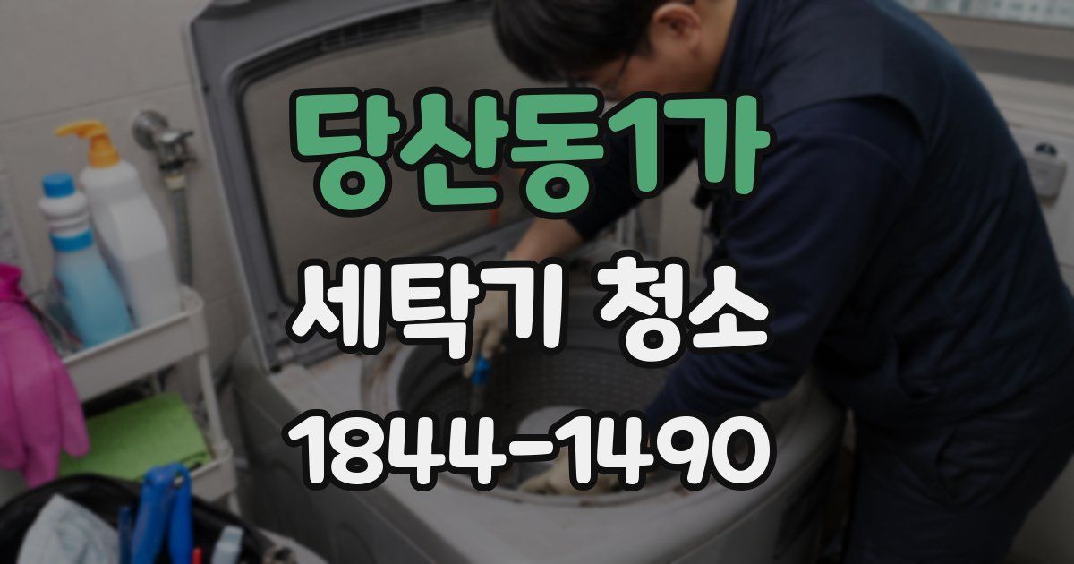 당산동1가 세탁기 청소