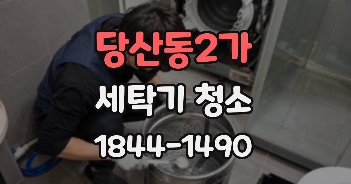 당산동2가 세탁기 청소
