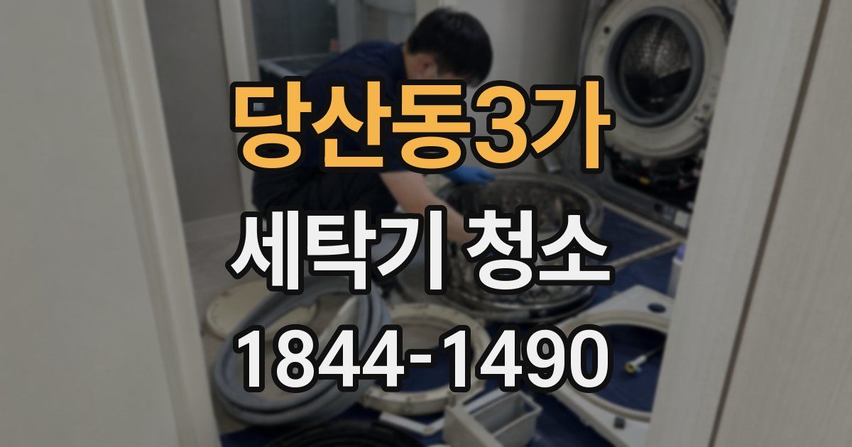 당산동3가 세탁기 청소