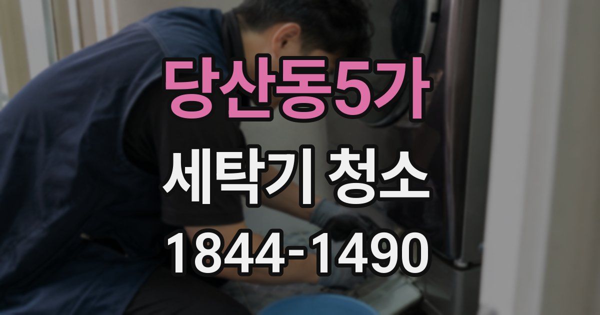 당산동5가 세탁기 청소