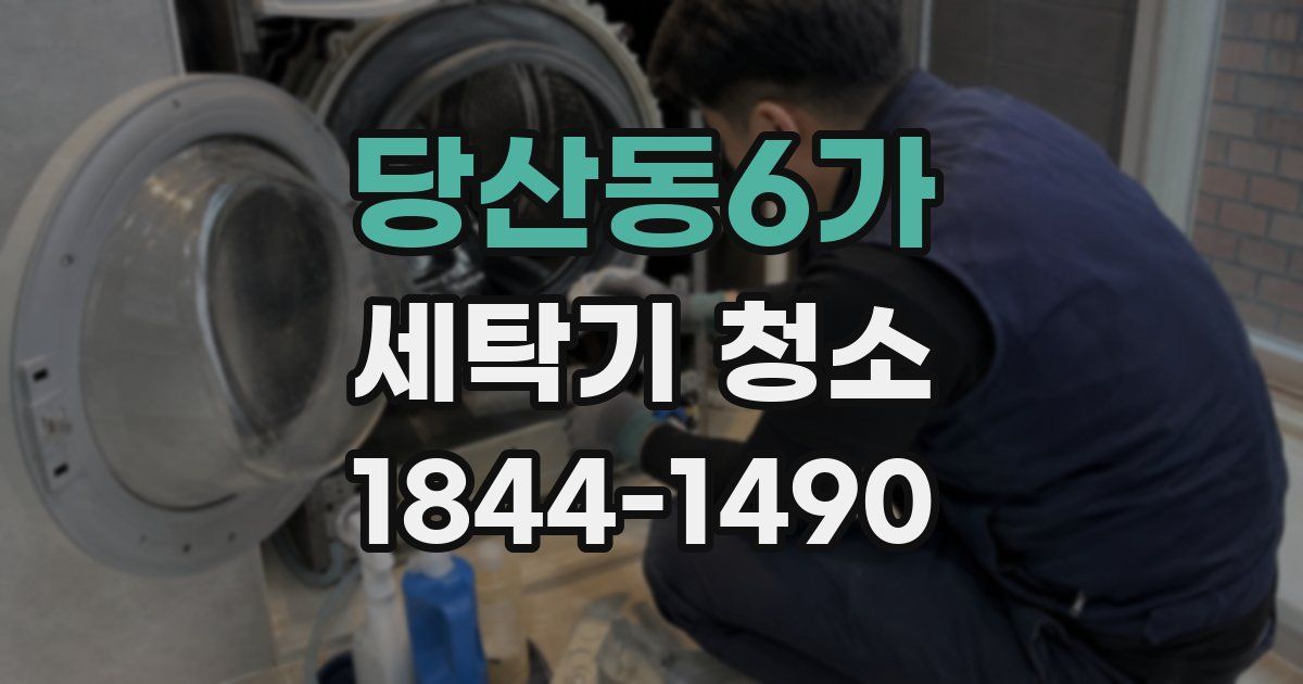 당산동6가 세탁기 청소