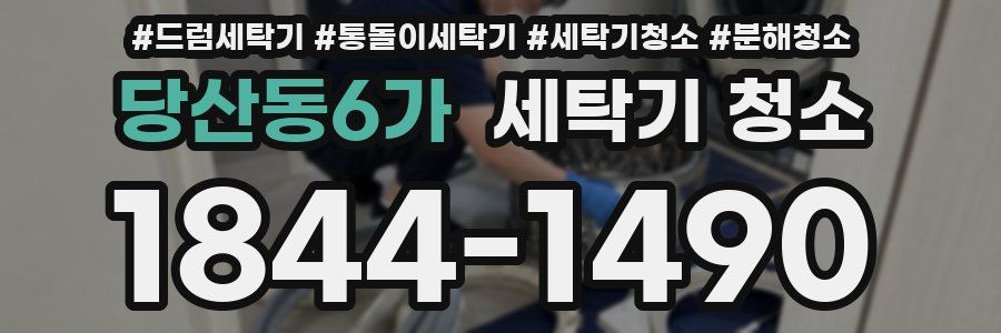 당산동6가 세탁기 청소