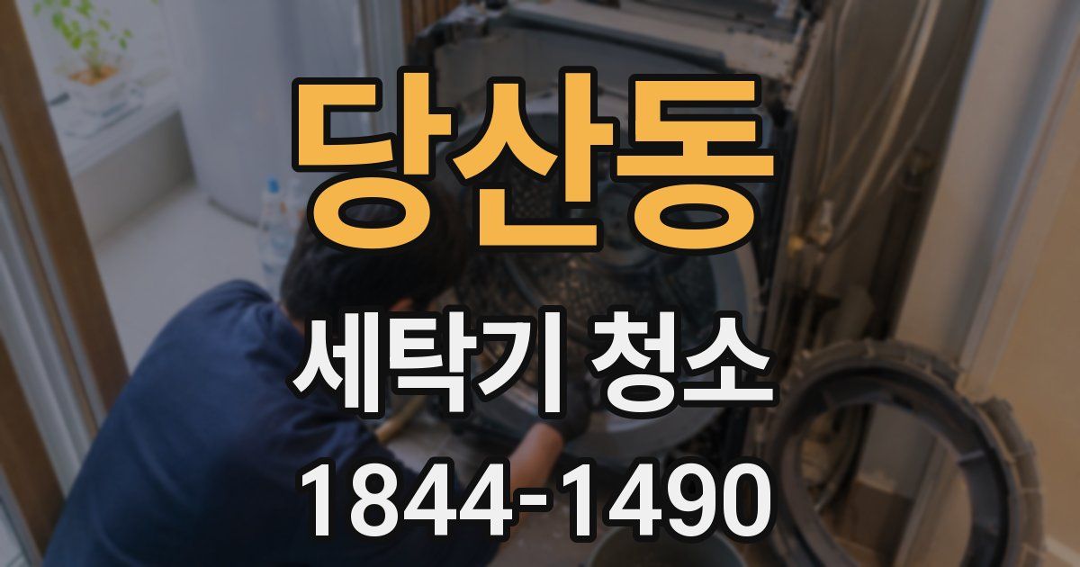 당산동 세탁기 청소