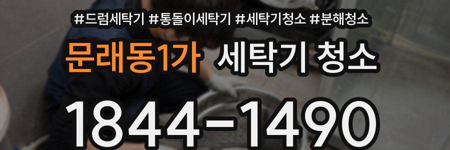 문래동1가 세탁기 청소