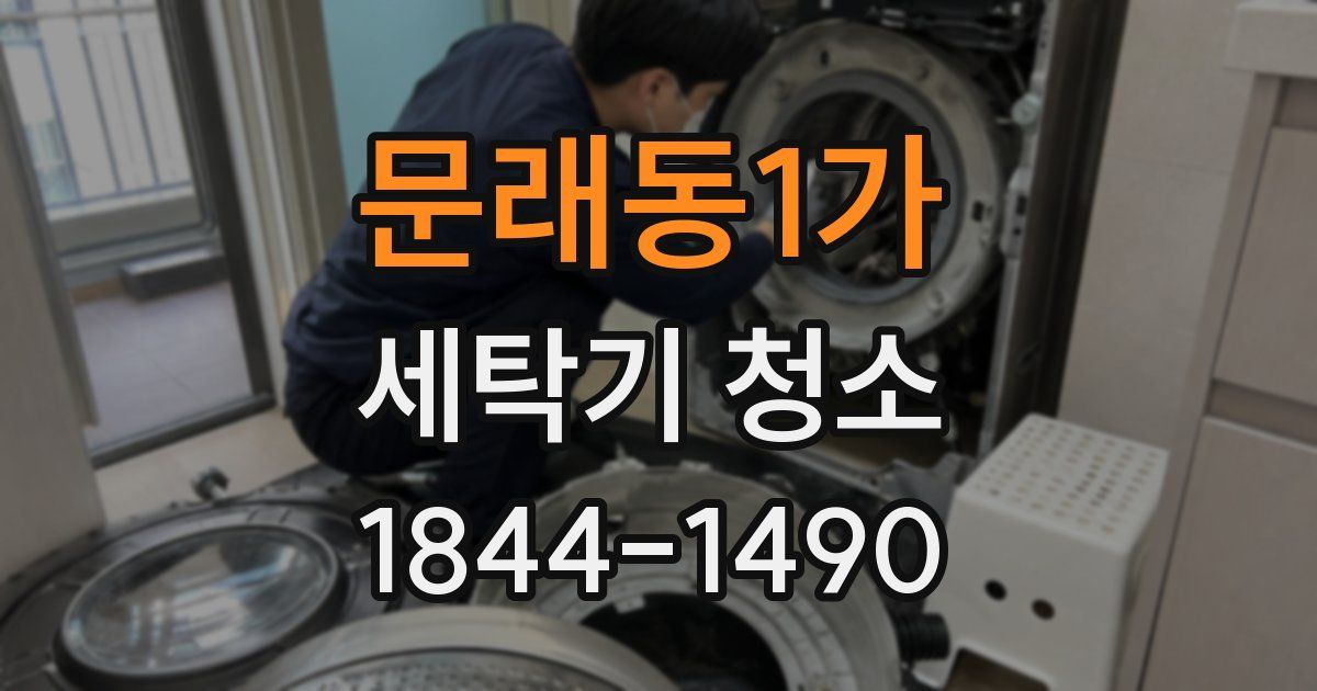 문래동1가 세탁기 청소