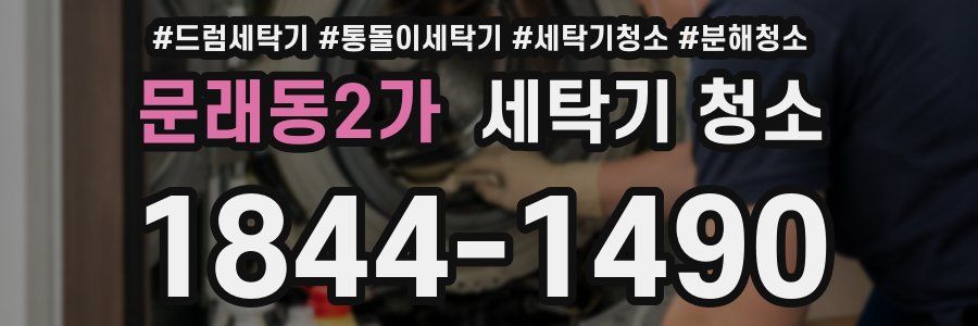 문래동2가 세탁기 청소