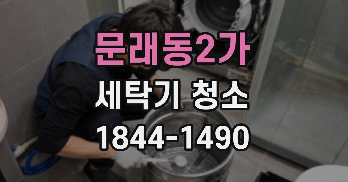 문래동2가 세탁기 청소