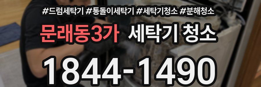 문래동3가 세탁기 청소
