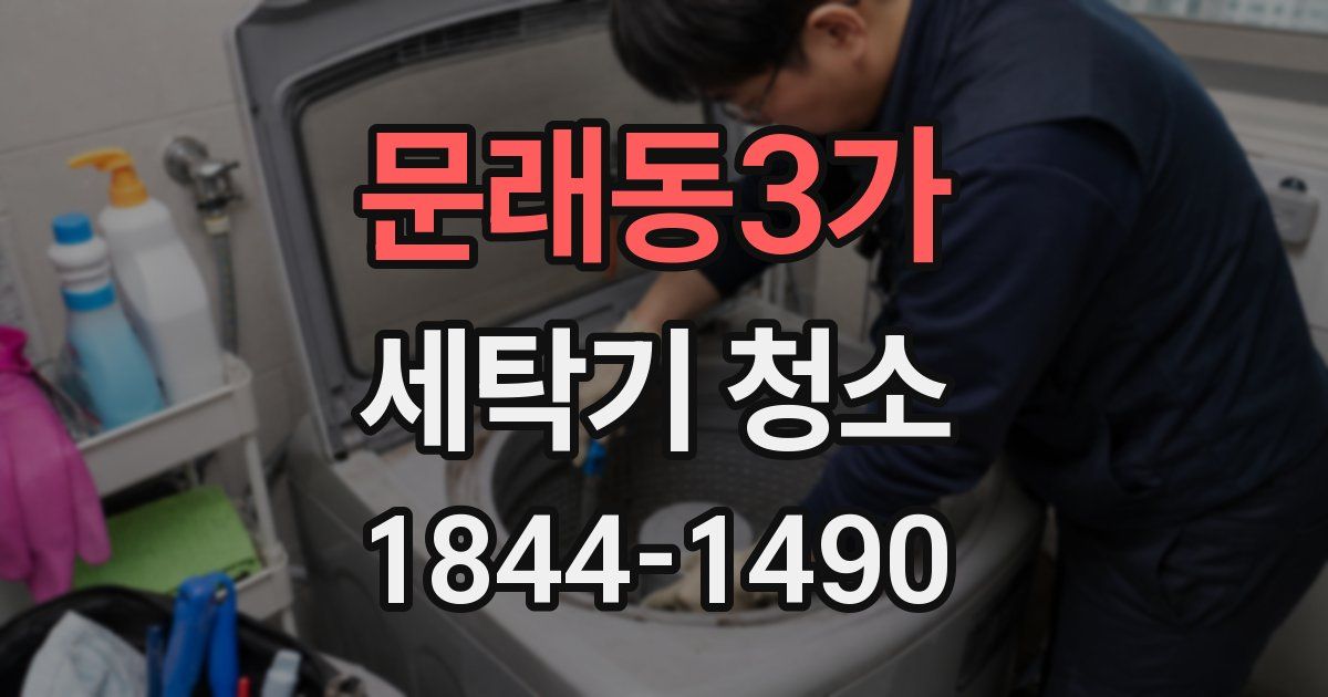 문래동3가 세탁기 청소