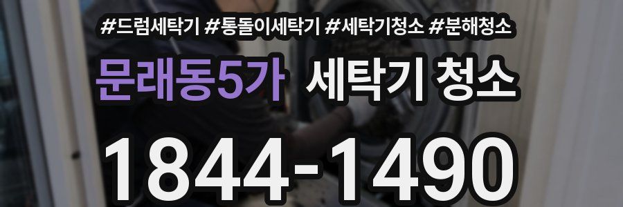 문래동5가 세탁기 청소