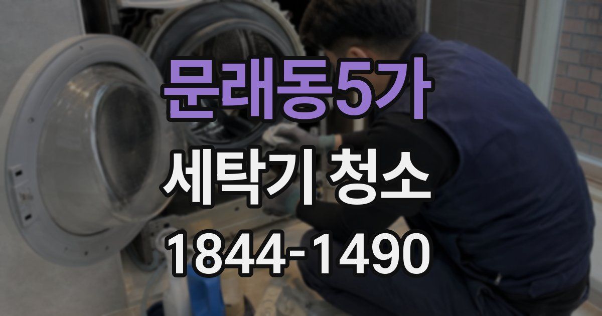 문래동5가 세탁기 청소