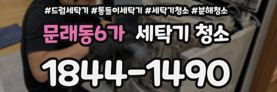 문래동6가 세탁기 청소