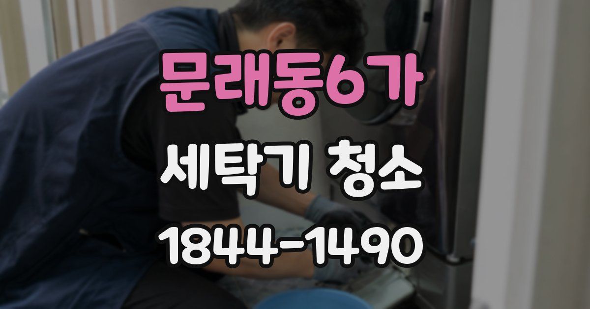 문래동6가 세탁기 청소