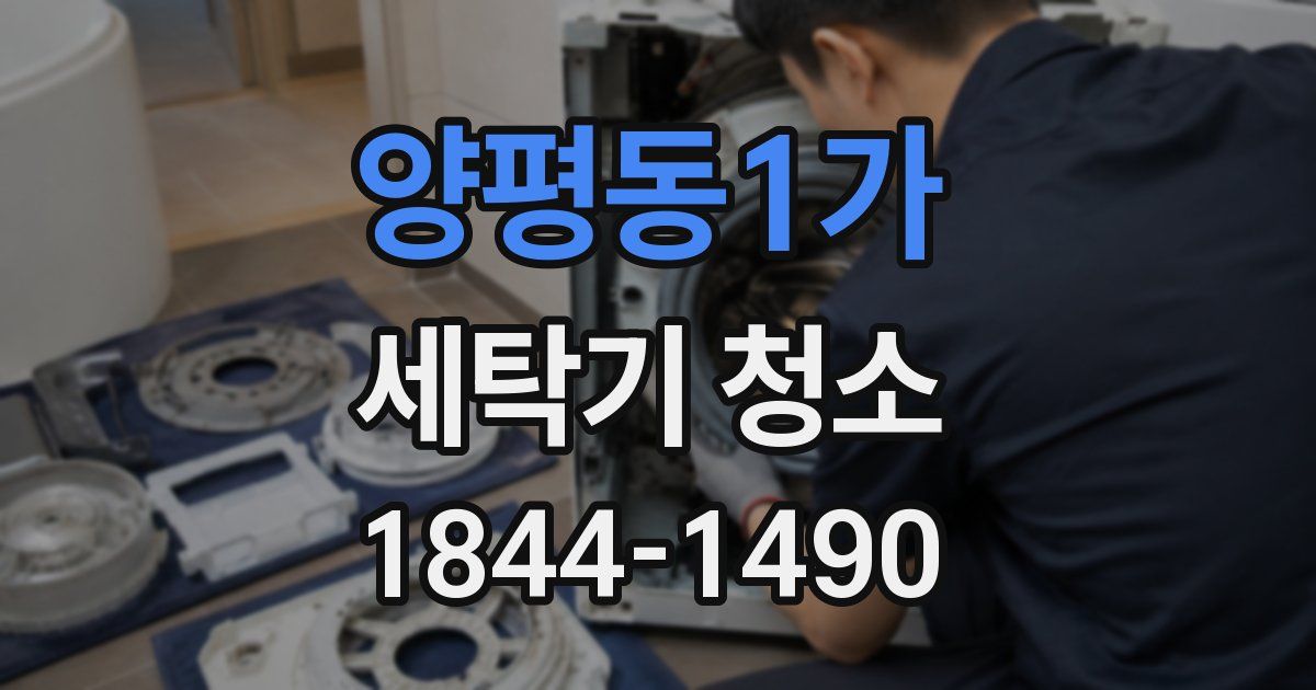 양평동1가 세탁기 청소