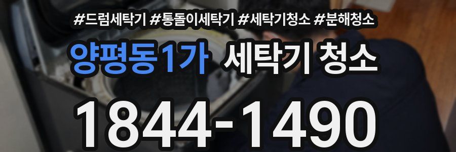 양평동1가 세탁기 청소