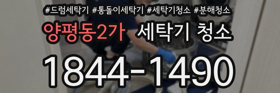 양평동2가 세탁기 청소