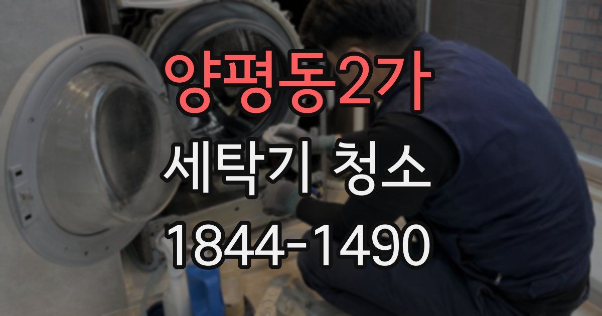 양평동2가 세탁기 청소