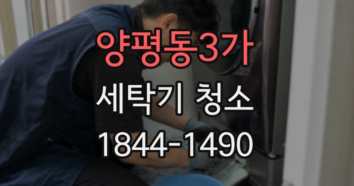 양평동3가 세탁기 청소