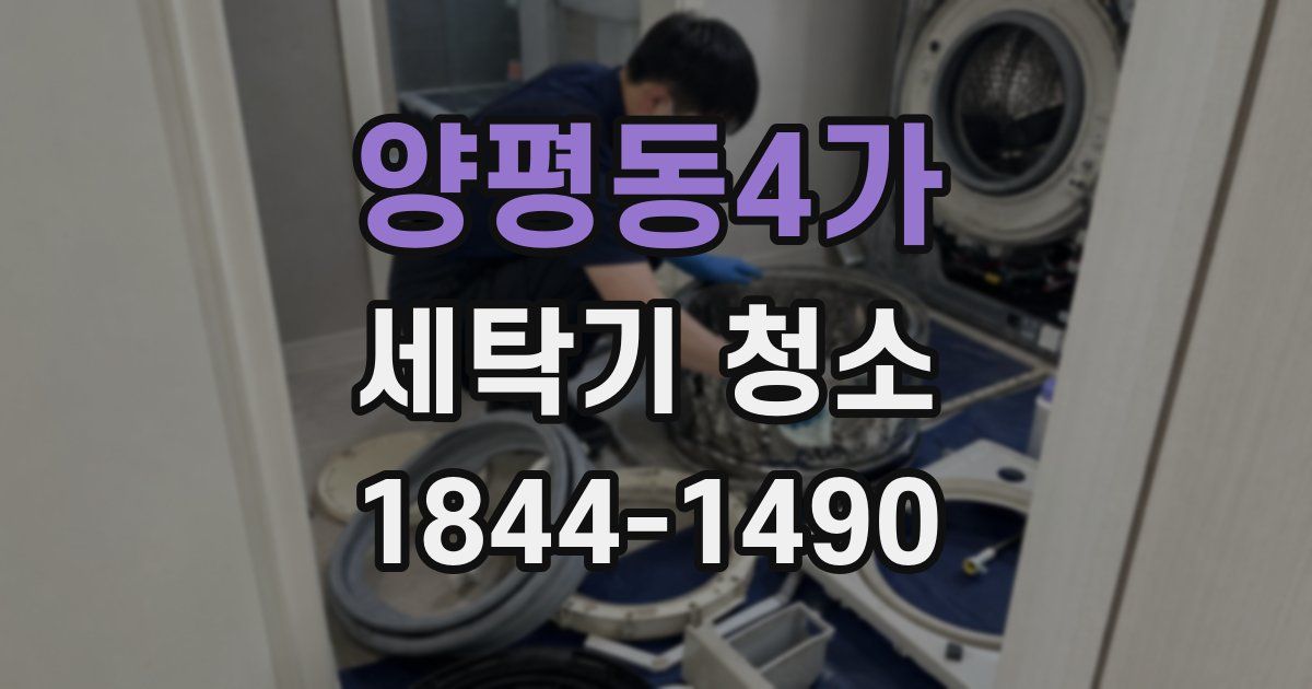 양평동4가 세탁기 청소