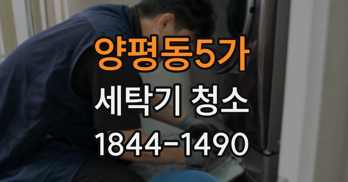 양평동5가 세탁기 청소