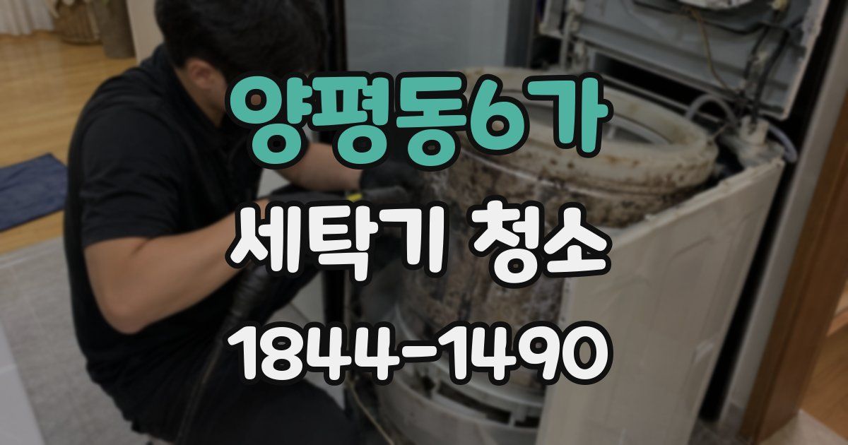 양평동6가 세탁기 청소