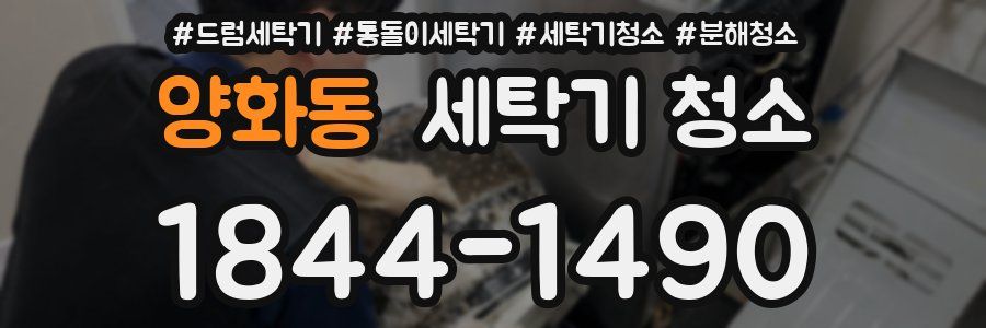 양화동 세탁기 청소