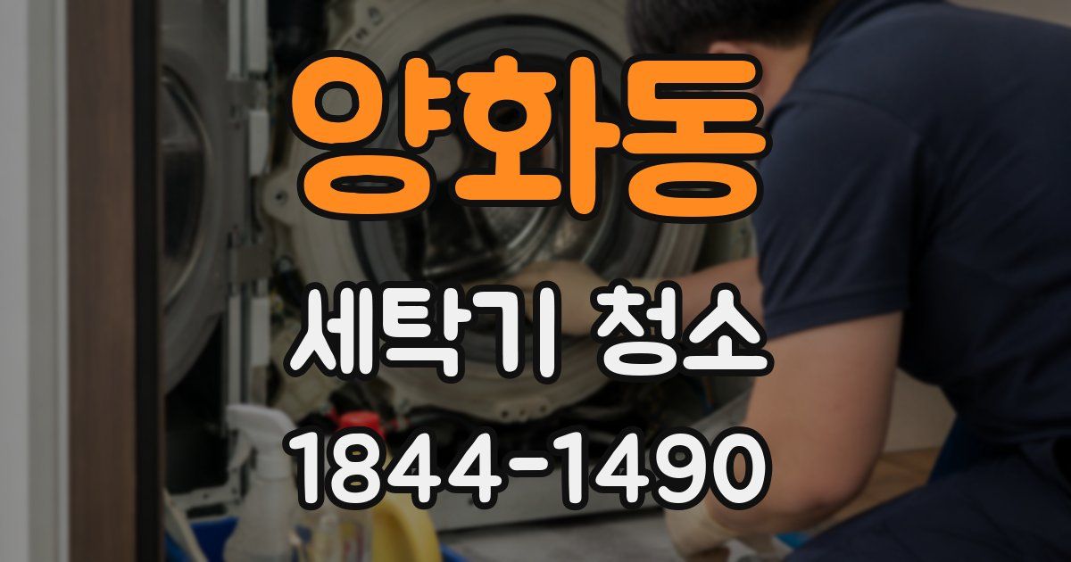 양화동 세탁기 청소