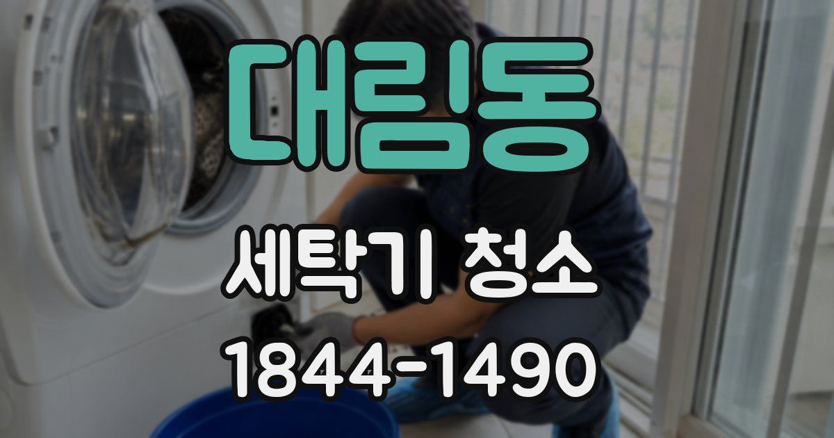 대림동 세탁기 청소